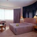 Grand Hotel Mercure Alger A�roport