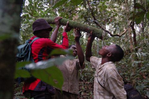 ResearchTour Cameroon