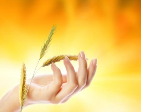 'Sweet Readings & Soul Songs'