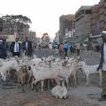 eid al adha 2009, Kenya