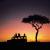Safari Packages in Kenya