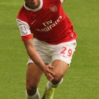 Chamakh Marouane