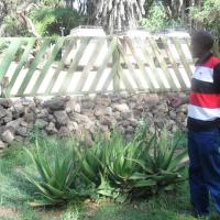 Francis Mwenja